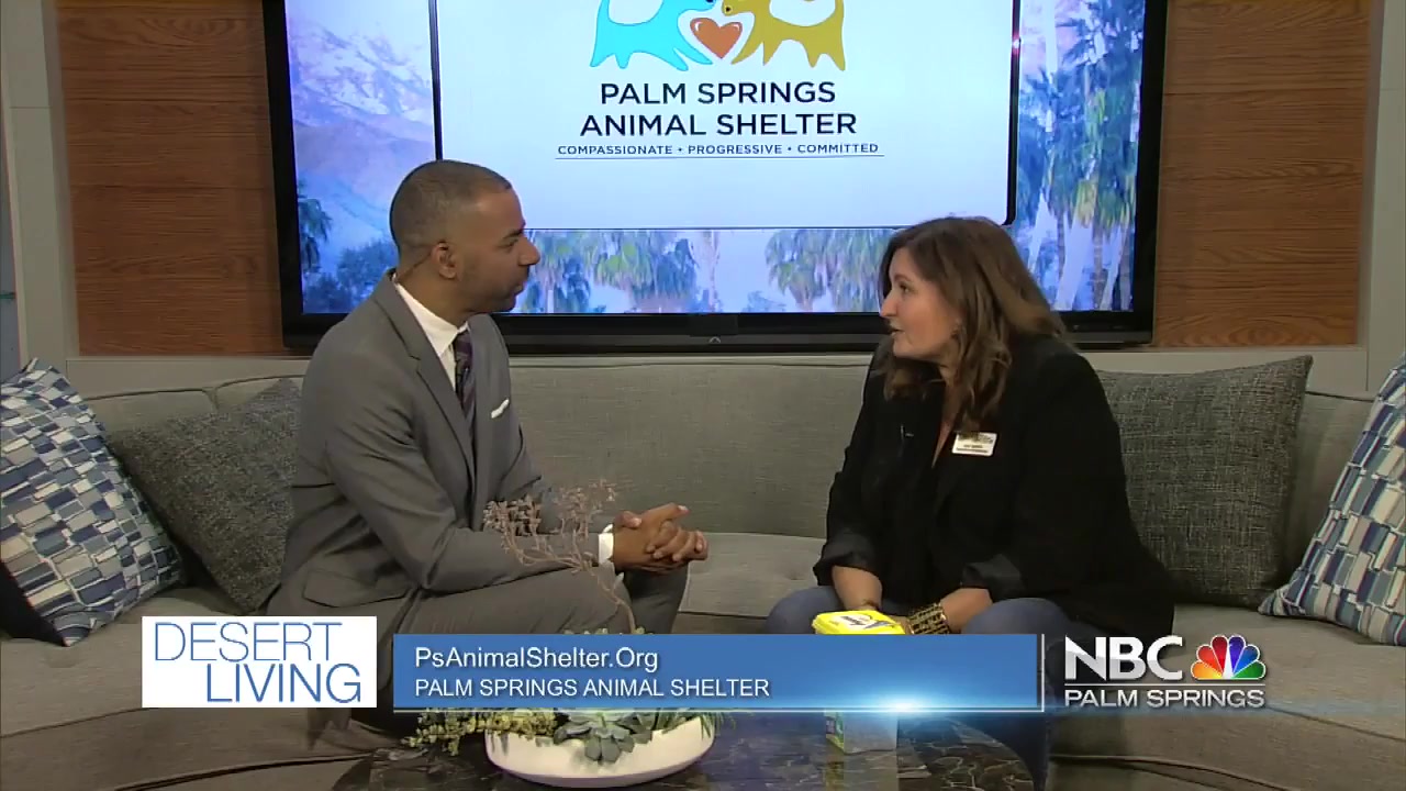 Kat Smith discussing Palm Springs Animal Shelter on NBC Palm Springs